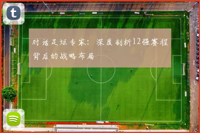 对话足坛专家：深度剖析12强赛程背后的战略布局