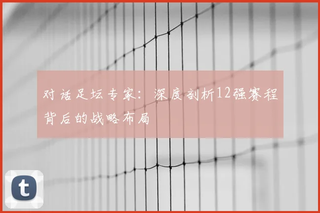 对话足坛专家：深度剖析12强赛程背后的战略布局
