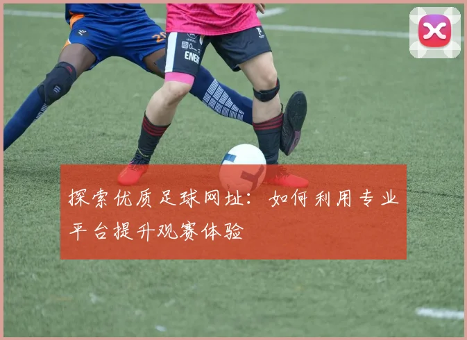 探索优质足球网址：如何利用专业平台提升观赛体验