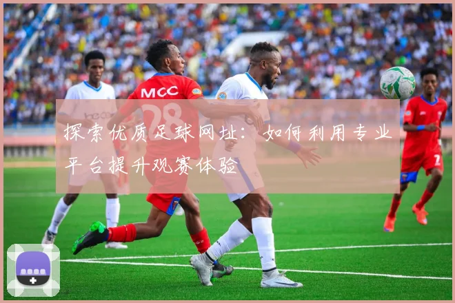探索优质足球网址：如何利用专业平台提升观赛体验