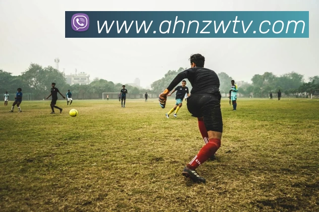 多媒体互动体验